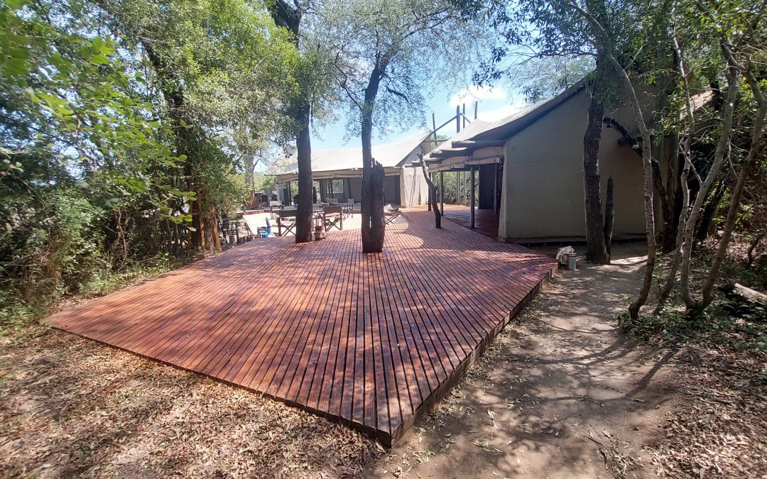 Bringing Timber Back to Life: Restoring Decking in a Nature Reserve